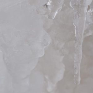 Meet your Posher, Marisa